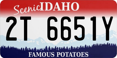 ID license plate 2T6651Y