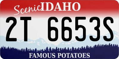 ID license plate 2T6653S