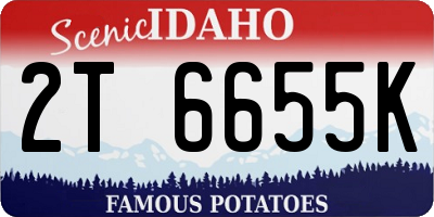 ID license plate 2T6655K