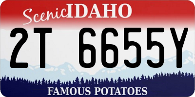 ID license plate 2T6655Y