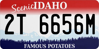 ID license plate 2T6656M