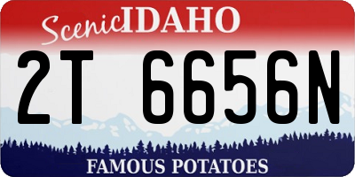 ID license plate 2T6656N