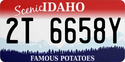 ID license plate 2T6658Y