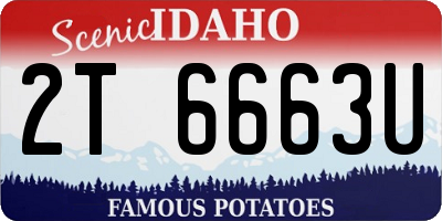 ID license plate 2T6663U