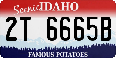 ID license plate 2T6665B