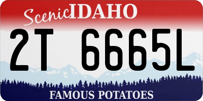 ID license plate 2T6665L