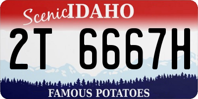 ID license plate 2T6667H
