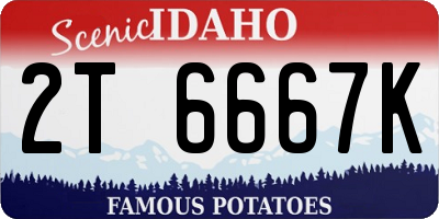 ID license plate 2T6667K