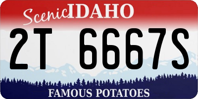 ID license plate 2T6667S