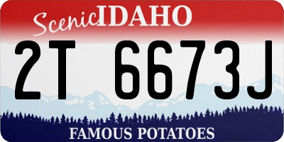 ID license plate 2T6673J