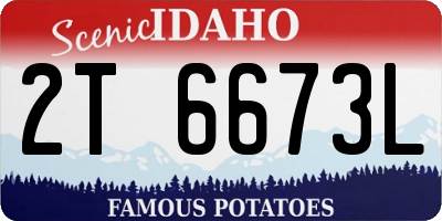 ID license plate 2T6673L