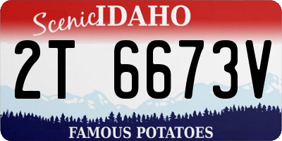 ID license plate 2T6673V