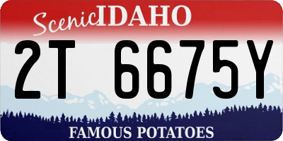 ID license plate 2T6675Y