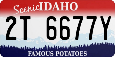 ID license plate 2T6677Y