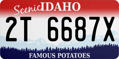 ID license plate 2T6687X