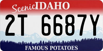 ID license plate 2T6687Y