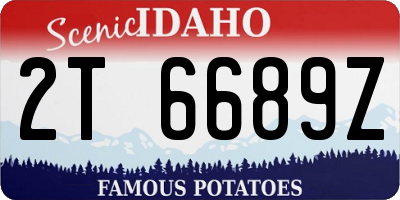 ID license plate 2T6689Z