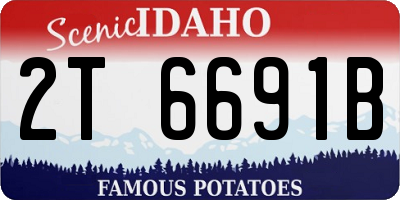 ID license plate 2T6691B