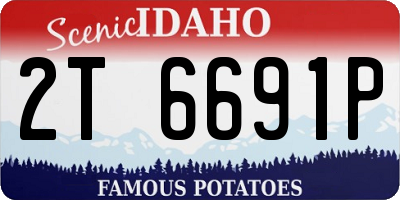 ID license plate 2T6691P