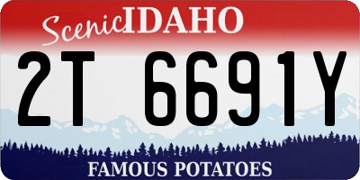 ID license plate 2T6691Y