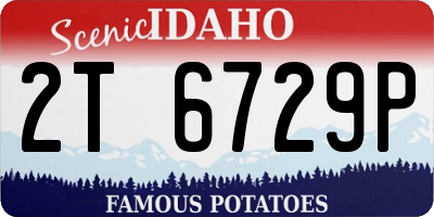 ID license plate 2T6729P