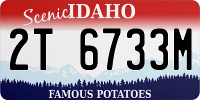 ID license plate 2T6733M