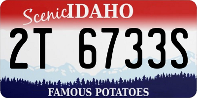 ID license plate 2T6733S