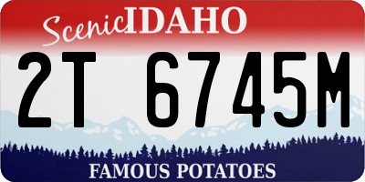 ID license plate 2T6745M