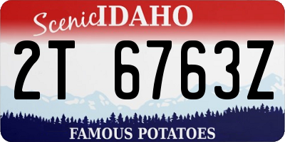 ID license plate 2T6763Z