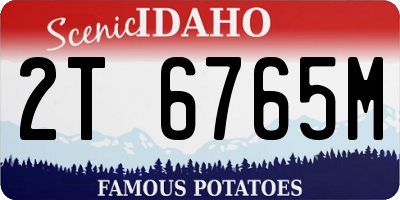ID license plate 2T6765M
