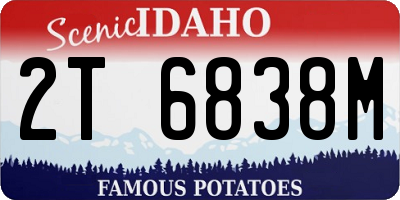 ID license plate 2T6838M