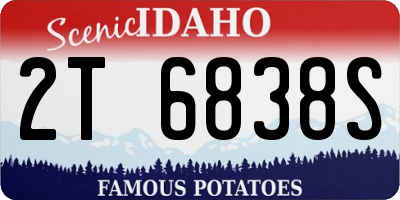 ID license plate 2T6838S