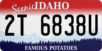 ID license plate 2T6838U