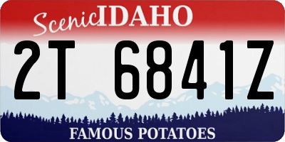 ID license plate 2T6841Z