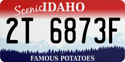 ID license plate 2T6873F