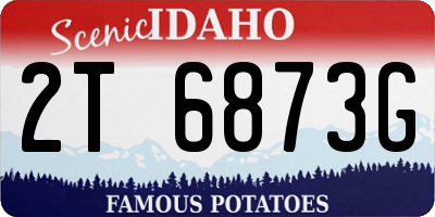 ID license plate 2T6873G