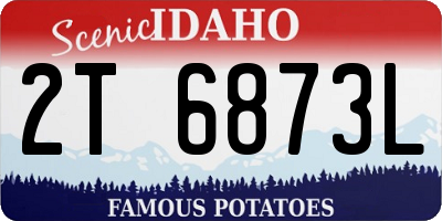 ID license plate 2T6873L