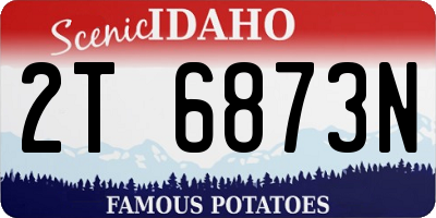 ID license plate 2T6873N