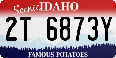 ID license plate 2T6873Y