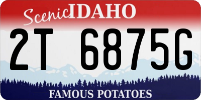 ID license plate 2T6875G