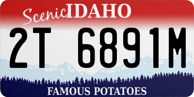 ID license plate 2T6891M
