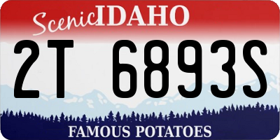 ID license plate 2T6893S