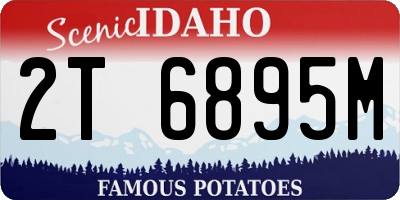 ID license plate 2T6895M