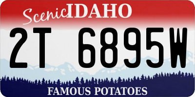 ID license plate 2T6895W