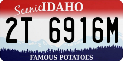 ID license plate 2T6916M