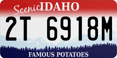 ID license plate 2T6918M