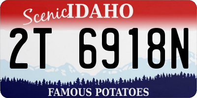 ID license plate 2T6918N