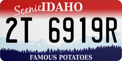 ID license plate 2T6919R