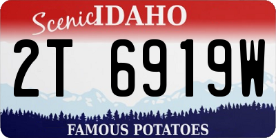 ID license plate 2T6919W
