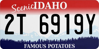 ID license plate 2T6919Y